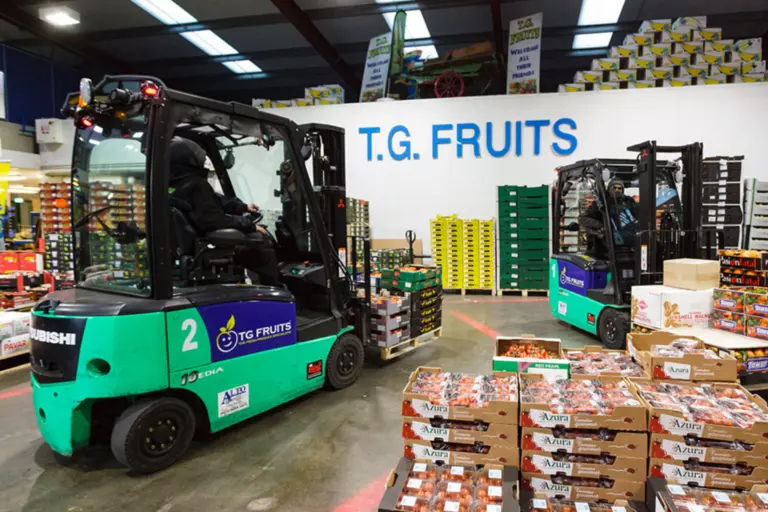 Fruitindustrie met Logisnext truck