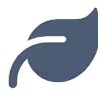 Icon eco